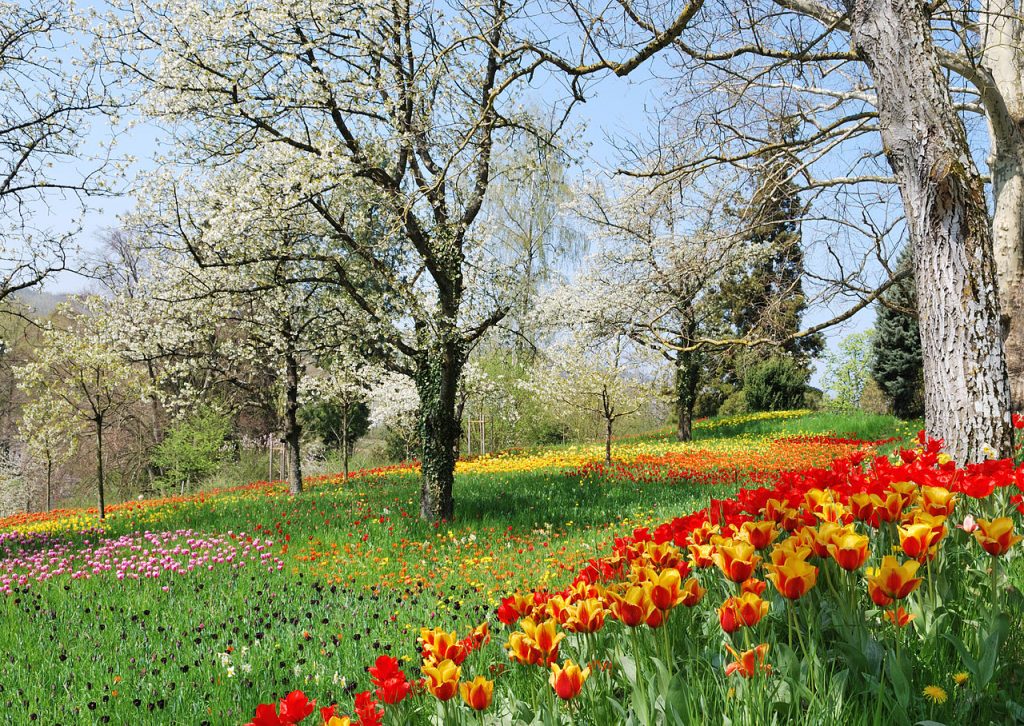 Wiosna na wyspie Mainau