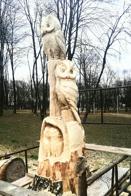 Oświęcim. Galeria zwierząt w parku Pokoju