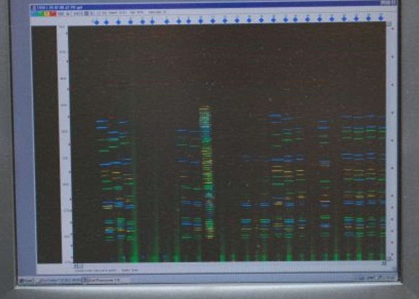 Profil DNA porównanie na ekranie komputera
