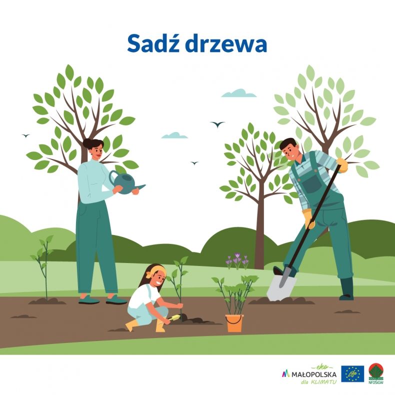 Małopolskie Wyzwanie „Tydzień dla klimatu”. Dzień 6- Drzewo dla klimatu sadz drzewa malopolska pl