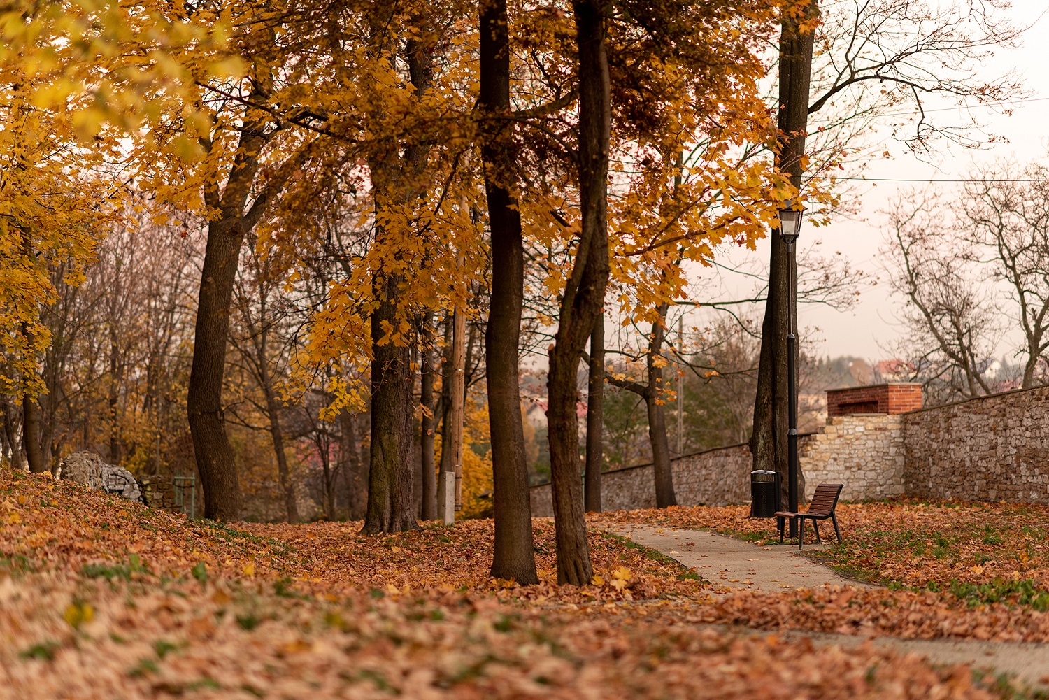 Warto Zobaczyć- Poznajemy Małopolskę Zachodnią – Gmina Chrzanów Park-w-Koscielcu_oswiecim pl info oswiecim